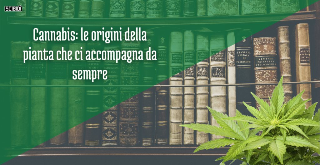 Copertina articolo origini cannabis