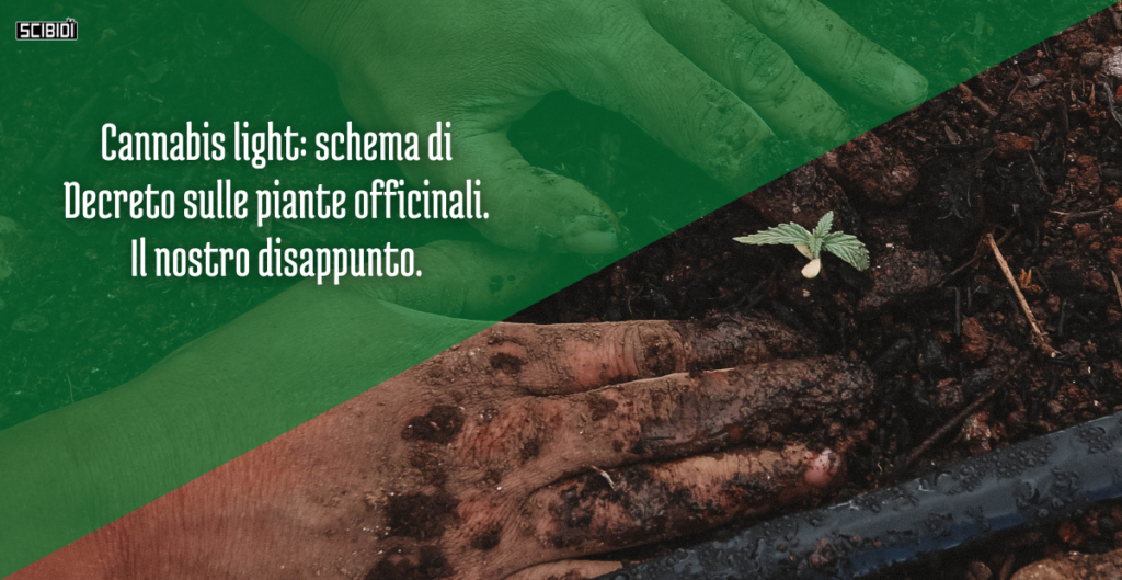 Copertina articolo decreto piante officinali