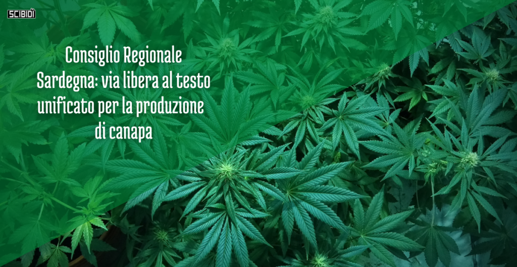Copertina articolo testo unificato canapa