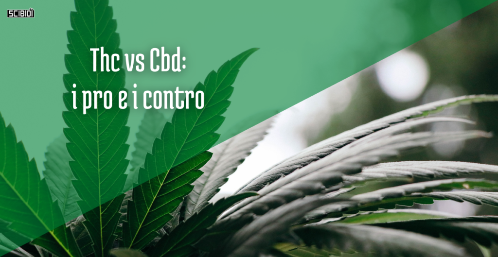 THC vs CBD: i pro e i contro tra i due cannabinoidi più famosi