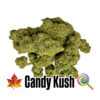 CANDY KUSH - Greenhouse Ed.